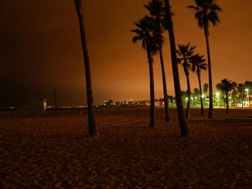 pictures of venice beach ca. Venice Beach by night, Venice.