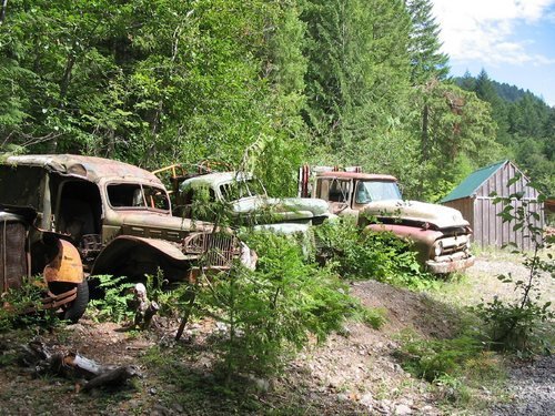 Willamette National Forest