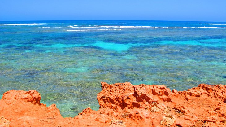 Ningaloo Reef Marine Park, Western Australia