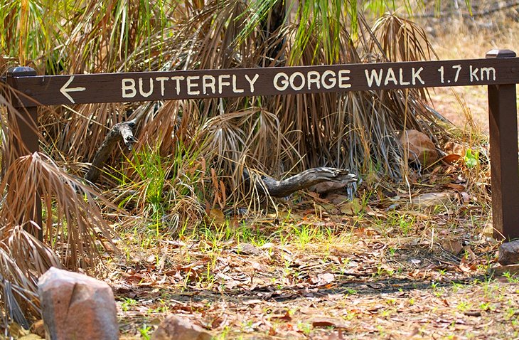 Butterfly Gorge Walk