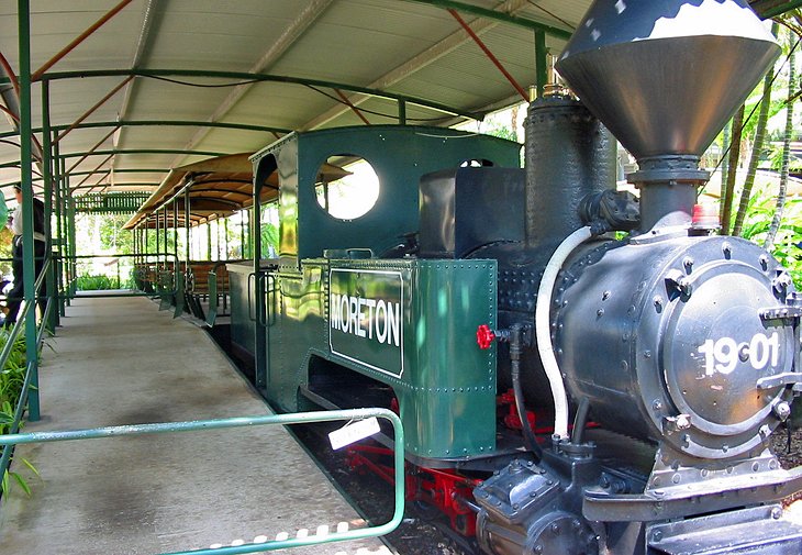 Train at the Ginger Factory