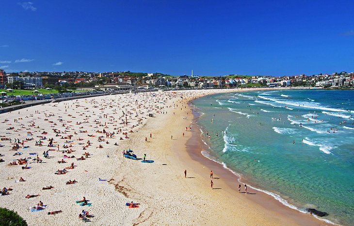 Bondi Beach