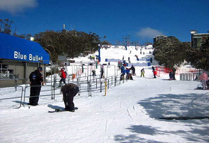 Mount Buller Skiing