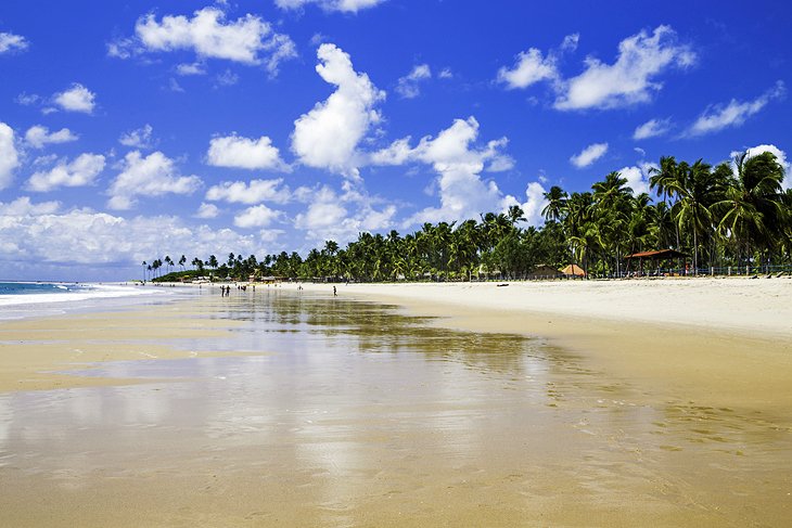Pernambuco Beaches