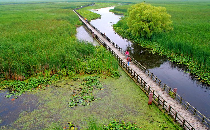 Point Pelee National Park