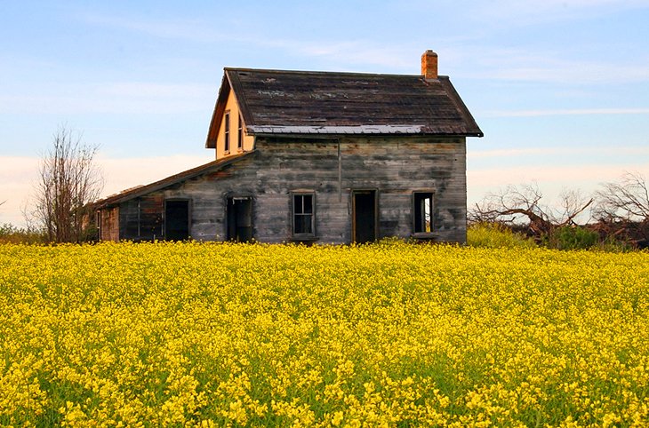 Abandoned farmhouse along the Trans-Canada Highway