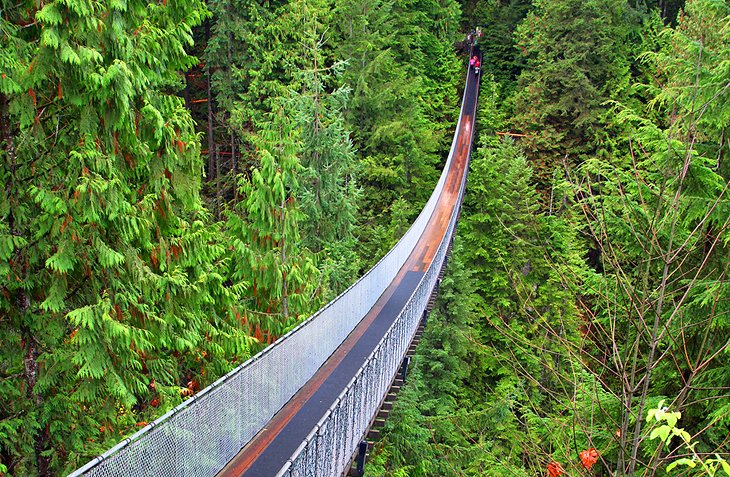 Capilano Suspension Bridge