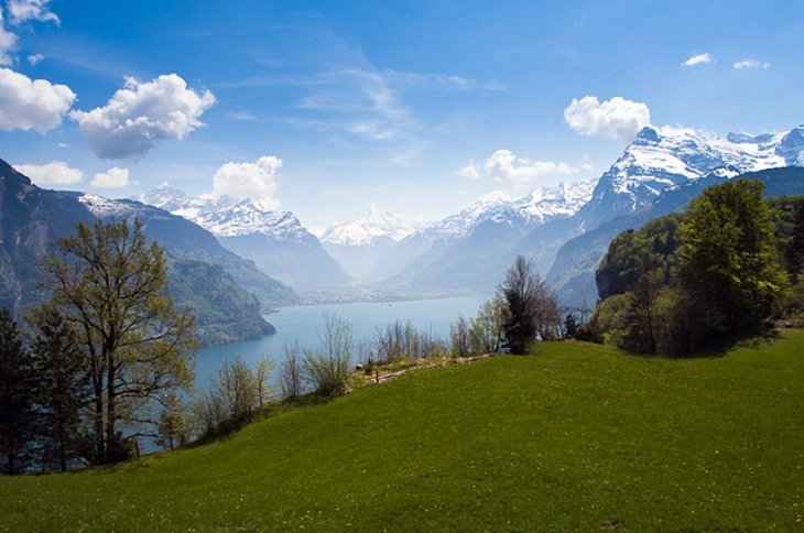 Seelisburg Landscape