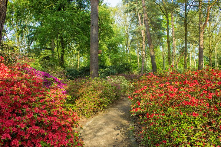 The Rhododendron Park and Mühle am Wall