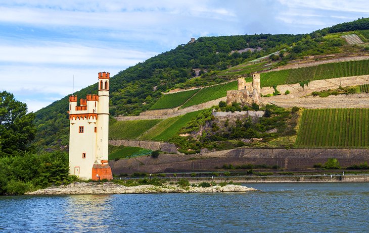 The Rhine Valley