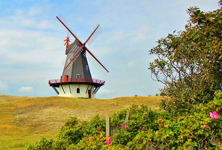 Fanø island