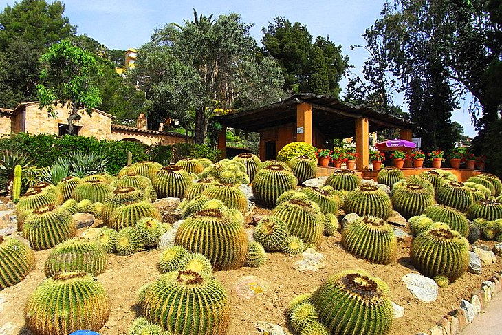 Pina de Rosa Botanic Garden
