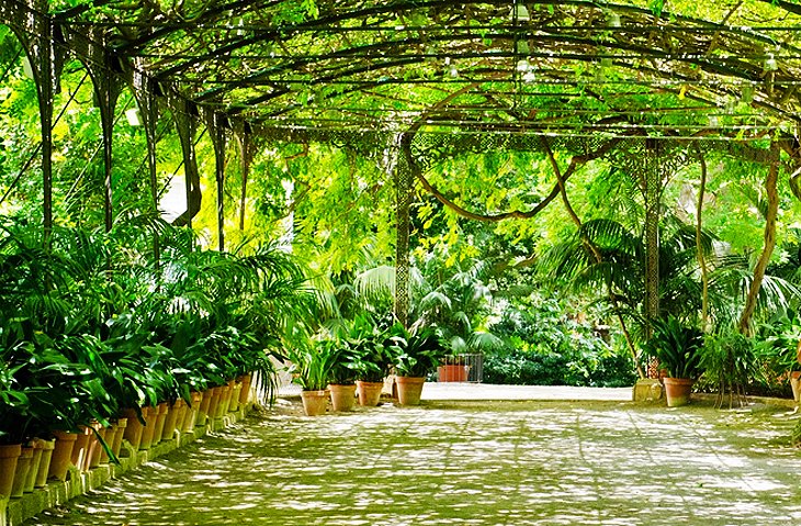 Jardín Botánico-Histórico La Concepción