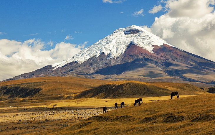 Cotopaxi and Cajas National Parks