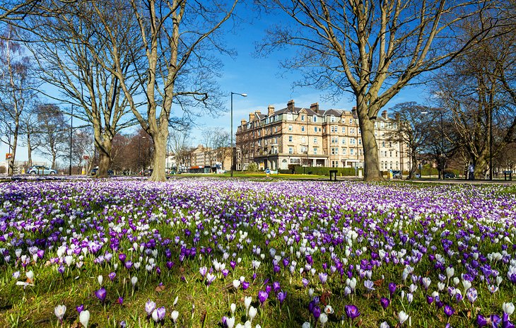 Harrogate: Britain's Floral Resort