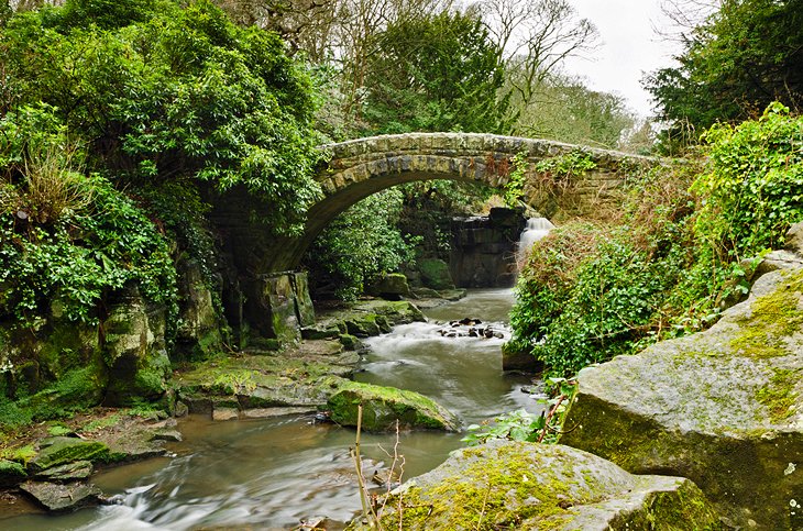 Jesmond Dene