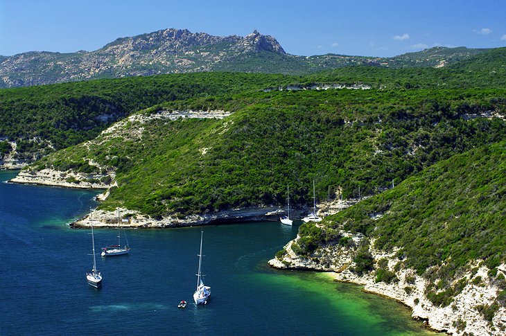 Bouches de Bonifacio Nature Reserve