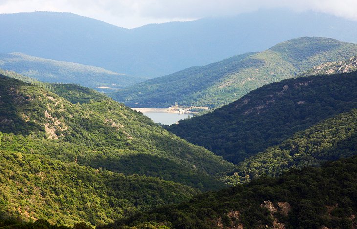 Massif des Maures