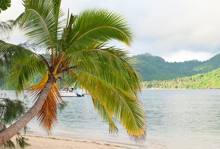Matangi Private Island Resort