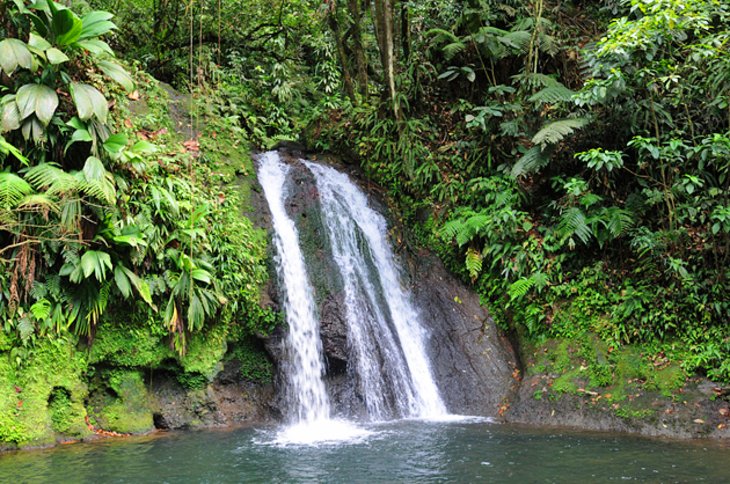 Guadeloupe National Park, Basse-Terre