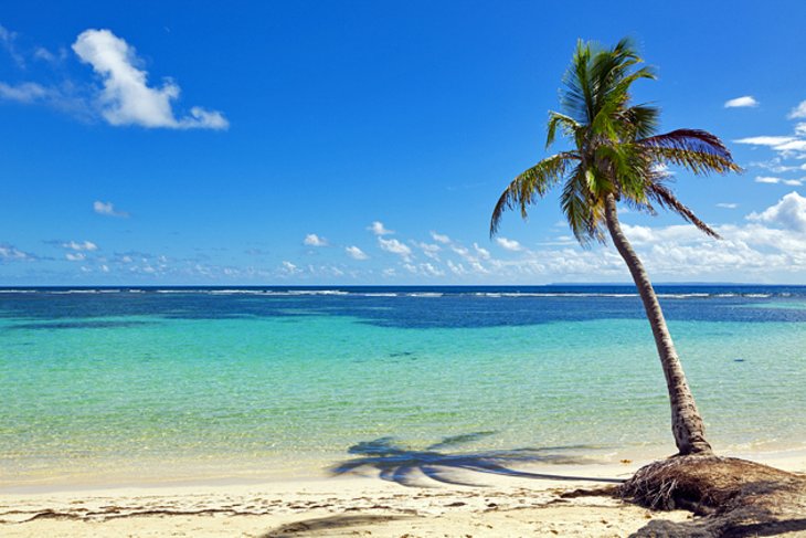 Sainte-Anne Beach, Grande-Terre