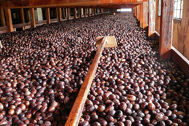 Dougaldston Spice Estate