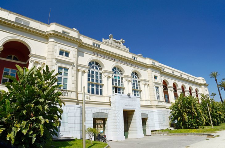 Naples Aquarium