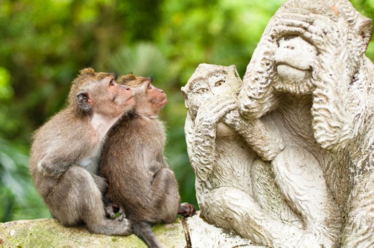 Sacred Monkey Forest, Ubud