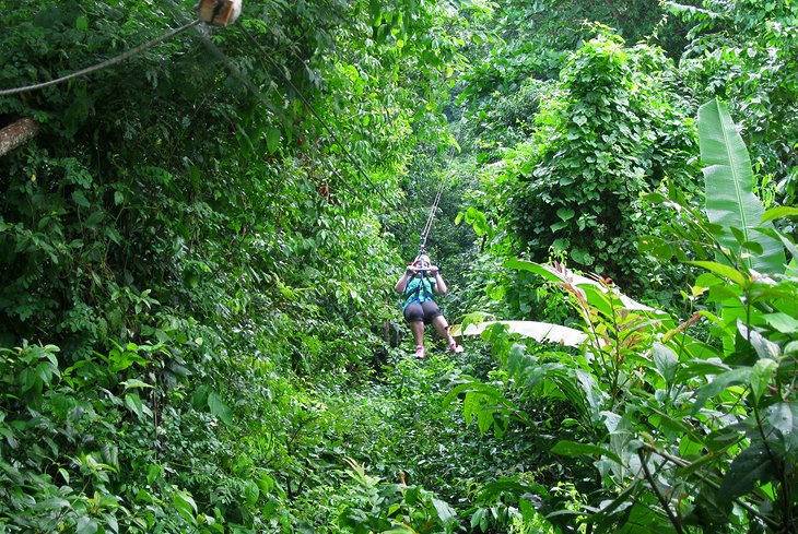 Zipline Adventure Tours