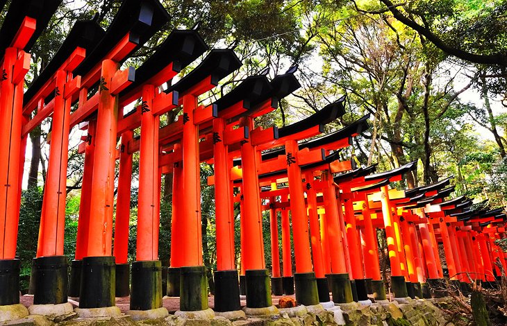 Fushimi-Inari Taisha Shrine