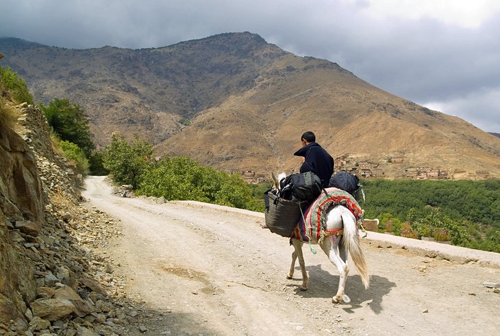 Toubkal National Park