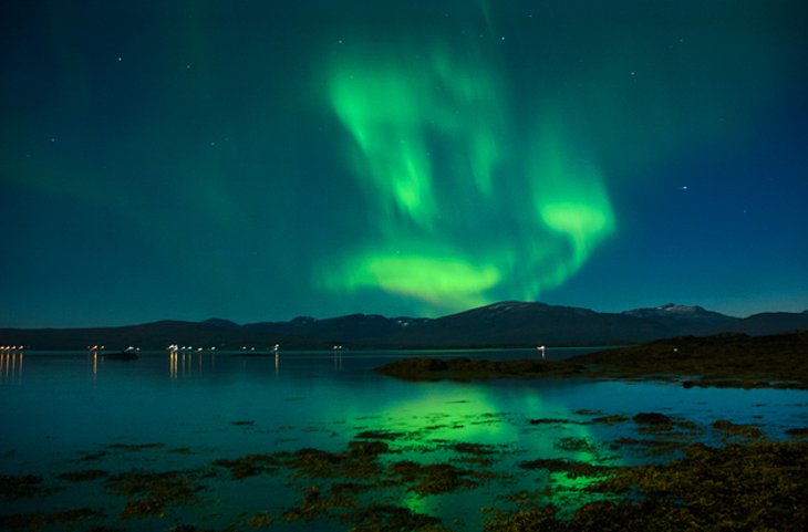 Tromsø University Museum