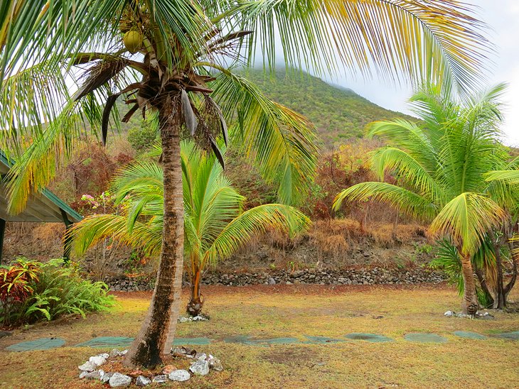 Miriam C. Schmidt Botanical Garden, St Eustatius