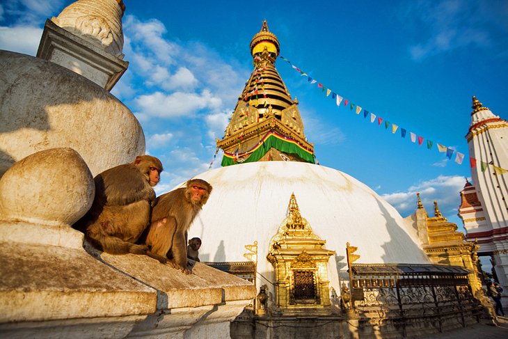 Swayambhunath (معبد میمون)