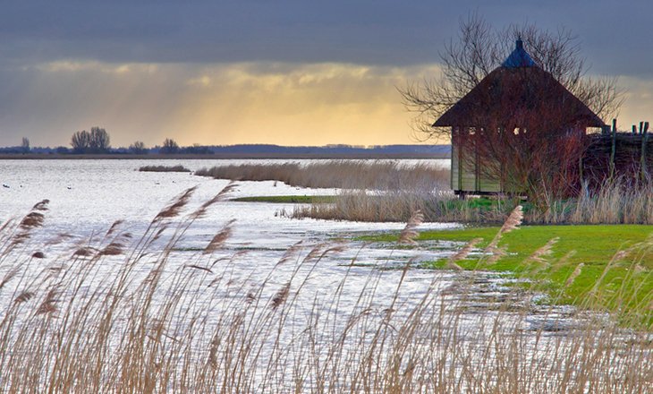 Lauwersmeer National Park