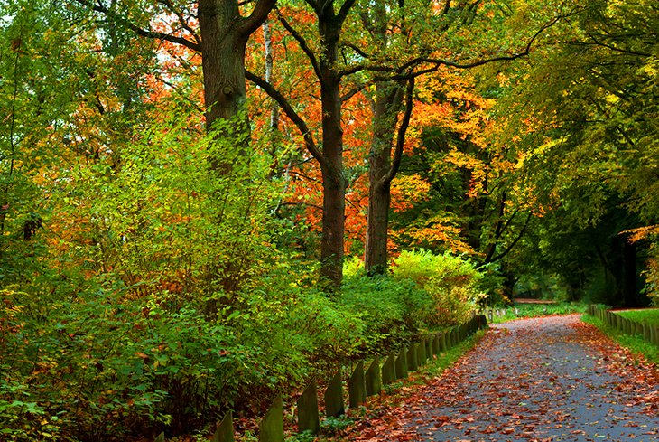 Groningen's City Park