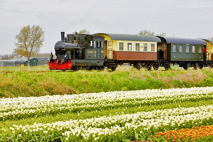 Medemblik by Steam Train