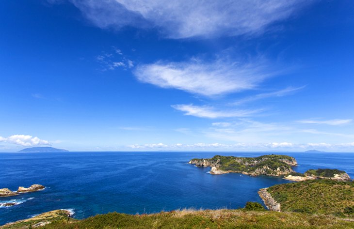 Auckland Surroundings