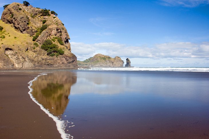 Auckland Surroundings