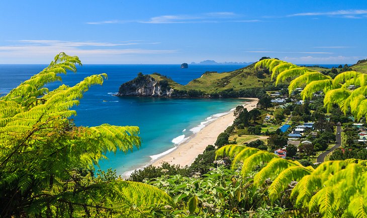 Coromandel Peninsula, North Island