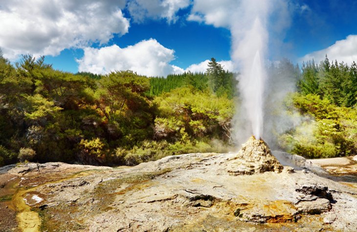 Rotorua Surroundings