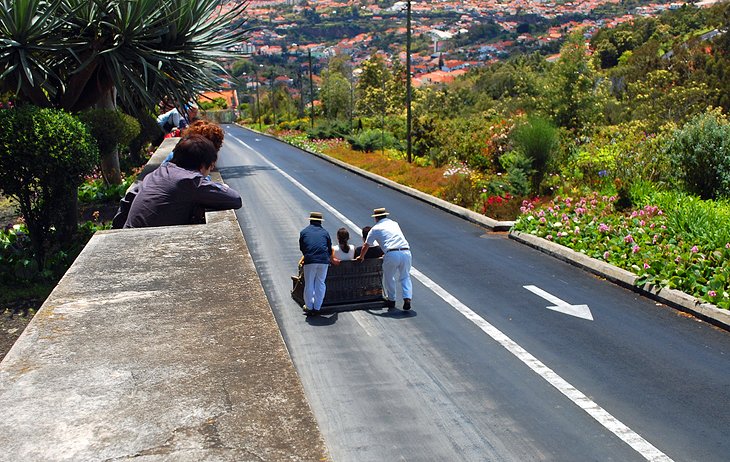 Monte Toboggan Run