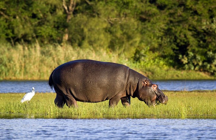 iSimangaliso Wetland Park, KwaZulu-Natal