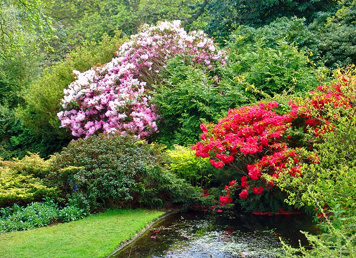 Cruickshank Botanic Gardens