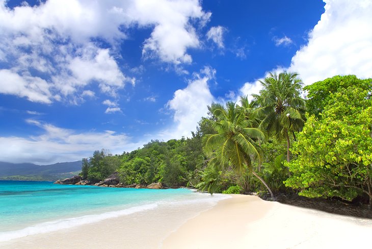 Anse Intendance, Mahé