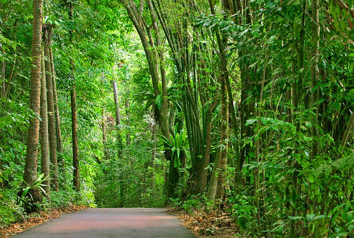 Pulau Ubin (Granite Island)