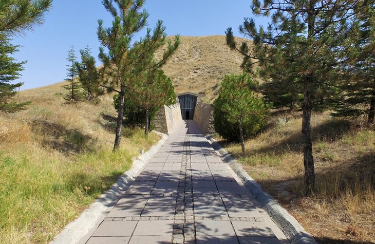 The Site