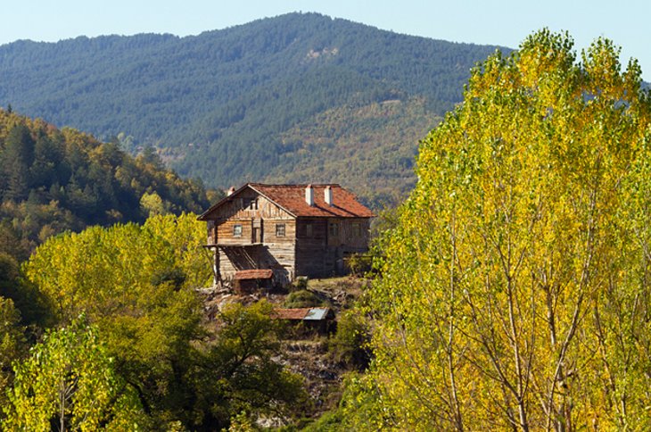 Küre Mountains (Küre Daǧları)