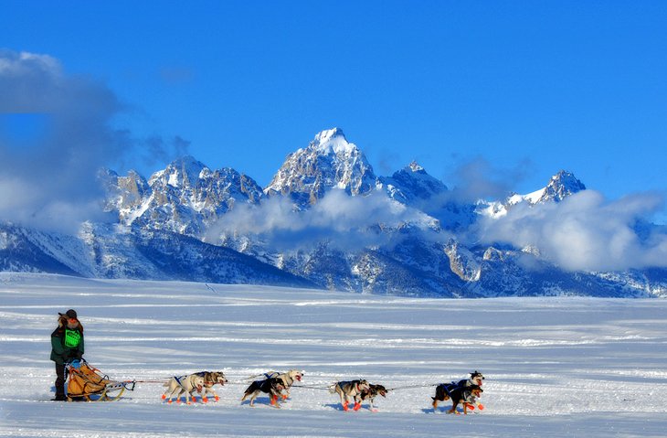 دنباله تاریخی ملی Iditarod