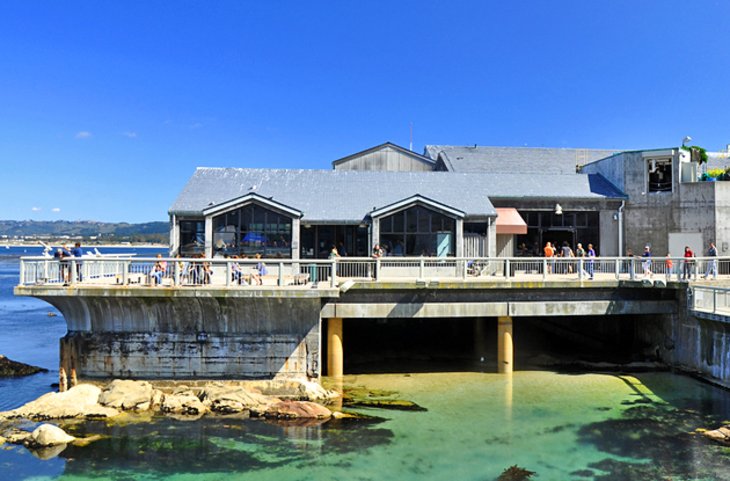 Monterey Bay Aquarium